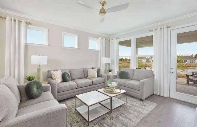 living room featuring a ceiling fan, ornamental molding, and light wood-style floors