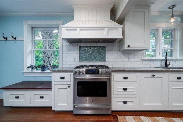 375 Seewee Cir, Mount Pleasant, SC 29464 - kitchen with stainless steel range with gas stovetop, a sink, custom exhaust hood, crown molding, and tasteful backsplash