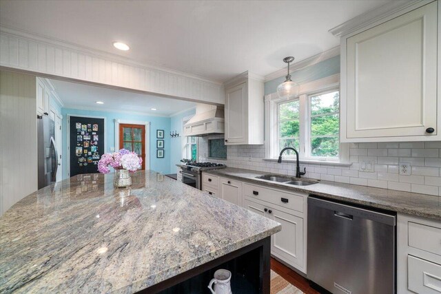 375 Seewee Cir, Mount Pleasant, SC 29464 - kitchen featuring stainless steel appliances, a sink, crown molding, custom exhaust hood, and decorative backsplash