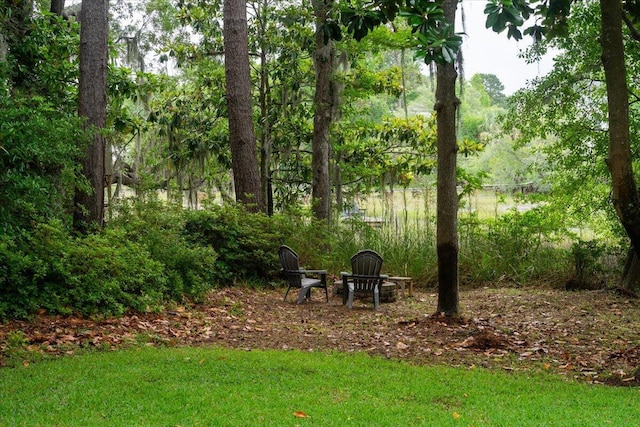 375 Seewee Cir, Mount Pleasant, SC 29464 - view of yard