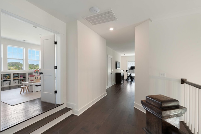 hallway featuring baseboards, plenty of natural light, dark wood finished floors, and visible vents