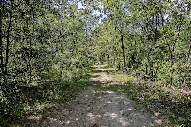 544 Beverly Dr, Summerville, SC 29485 - view of street featuring a wooded view
