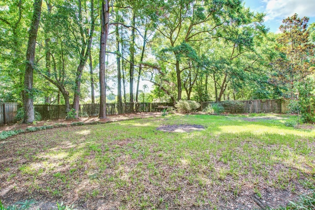1052 Yorktown Dr, Charleston, SC 29412 - view of fenced backyard