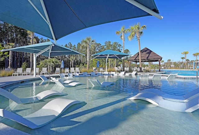 view of pool featuring a patio