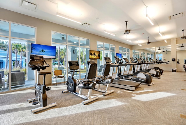 exercise room with light carpet, a wealth of natural light, and ceiling fan