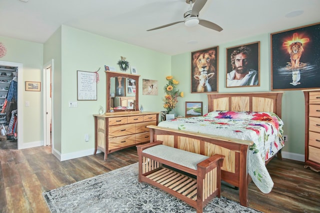 bedroom with a walk in closet, ceiling fan, a closet, and dark wood-type flooring