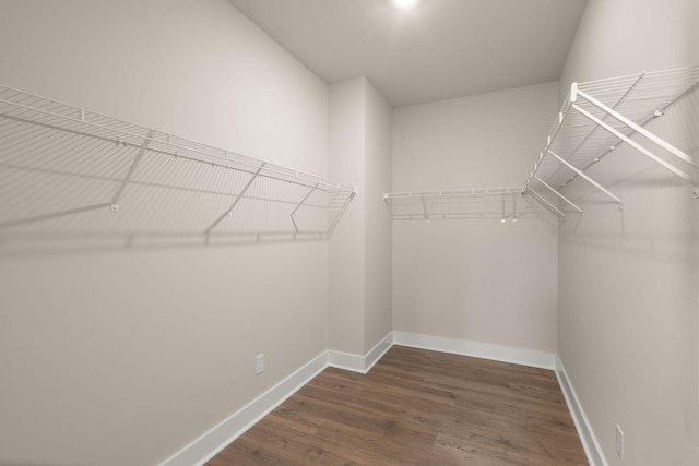 1577 Periwinkle Dr, Mount Pleasant, SC 29466 - spacious closet featuring dark wood finished floors