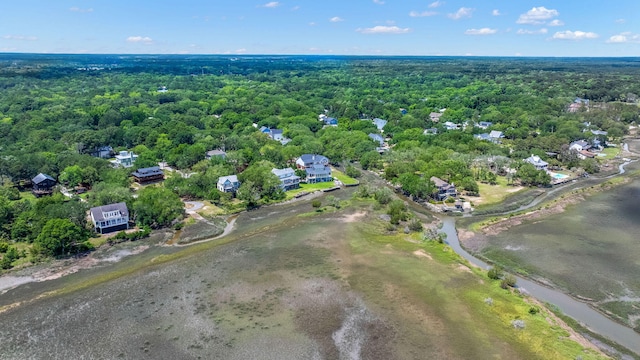1577 Periwinkle Dr, Mount Pleasant, SC 29466 - drone / aerial view of a forest