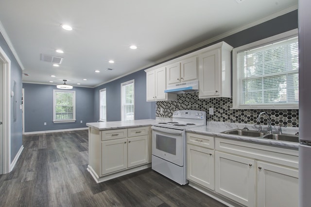 227 Grace St, Walterboro, SC 29488 - kitchen with white electric range, a peninsula, crown molding, under cabinet range hood, and dark wood-style floors