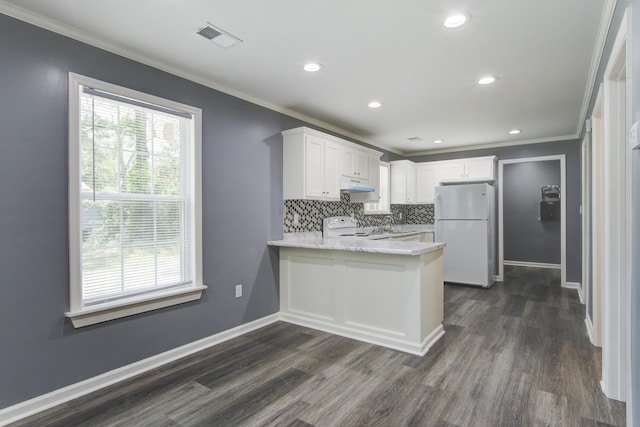 227 Grace St, Walterboro, SC 29488 - kitchen with freestanding refrigerator, under cabinet range hood, crown molding, a peninsula, and stove