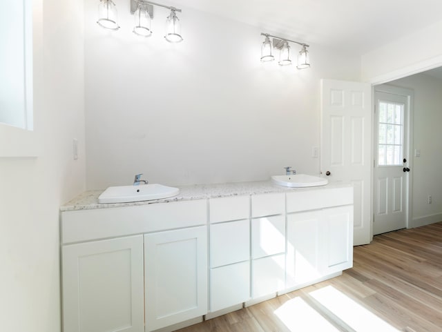 bathroom with wood-type flooring and vanity