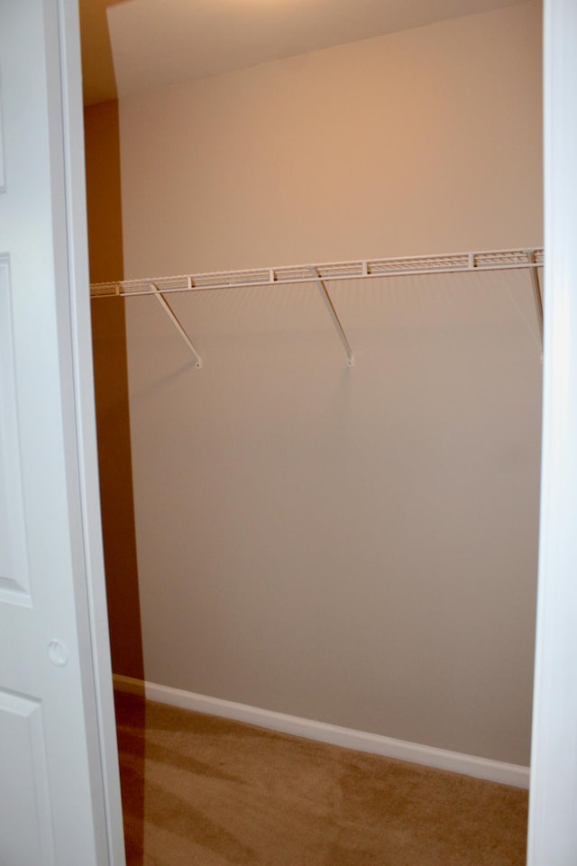 spacious closet with carpet floors