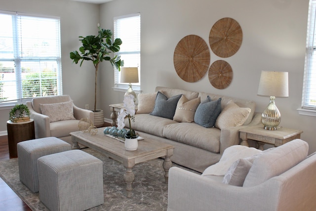 living room with a healthy amount of sunlight and dark hardwood / wood-style floors