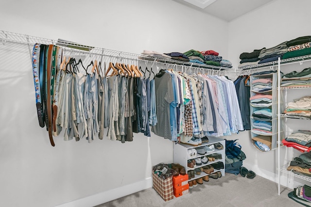 walk in closet featuring carpet flooring