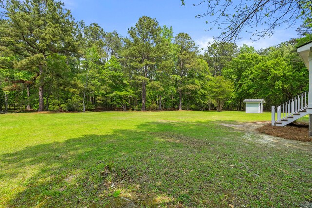 5950 Kelseys Mill Rd, Ravenel, SC 29470 - view of yard with an outdoor structure and a storage unit