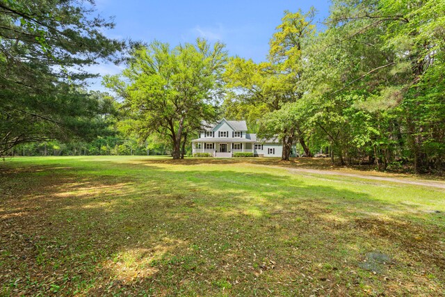 5950 Kelseys Mill Rd, Ravenel, SC 29470 - view of yard