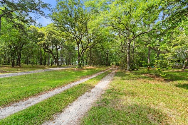 5950 Kelseys Mill Rd, Ravenel, SC 29470 - view of street