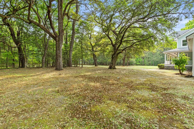 5950 Kelseys Mill Rd, Ravenel, SC 29470 - view of yard