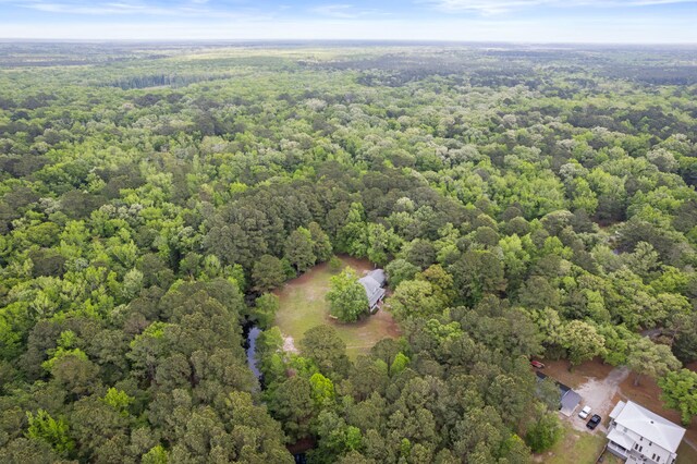5950 Kelseys Mill Rd, Ravenel, SC 29470 - birds eye view of property featuring a forest view