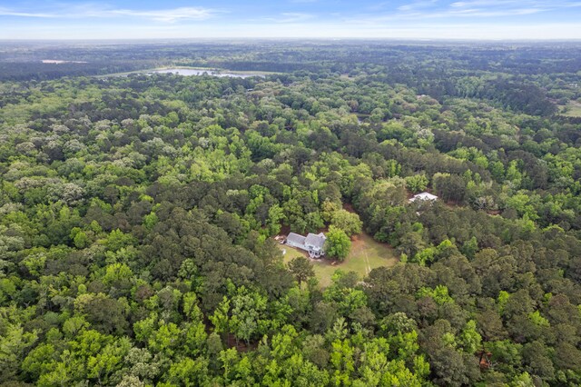 5950 Kelseys Mill Rd, Ravenel, SC 29470 - bird's eye view with a forest view