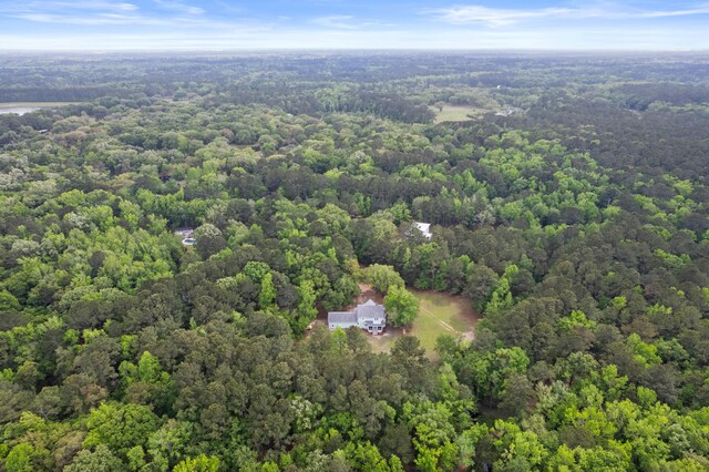 5950 Kelseys Mill Rd, Ravenel, SC 29470 - aerial view featuring a wooded view