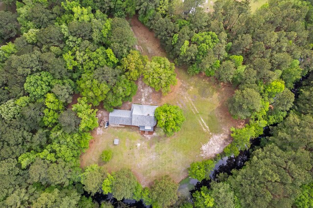 5950 Kelseys Mill Rd, Ravenel, SC 29470 - aerial view