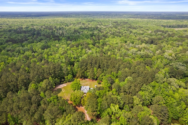 5950 Kelseys Mill Rd, Ravenel, SC 29470 - aerial view featuring a view of trees