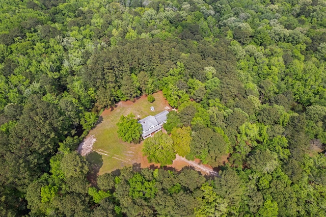 5950 Kelseys Mill Rd, Ravenel, SC 29470 - bird's eye view with a view of trees