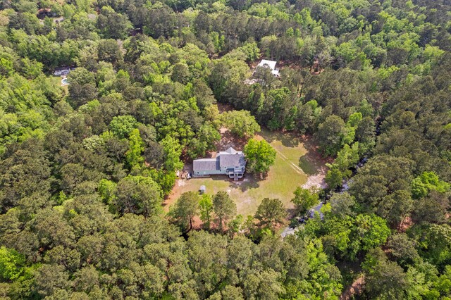 5950 Kelseys Mill Rd, Ravenel, SC 29470 - aerial view with a wooded view