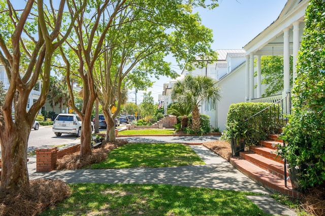 view of yard featuring stairs