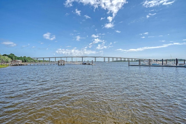 130 River Landing Dr Unit 2310, Daniel Island, SC 29492 - dock with a water view