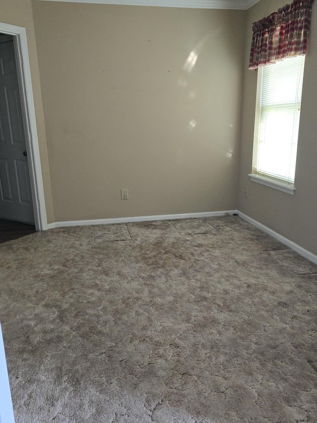 empty room featuring carpet