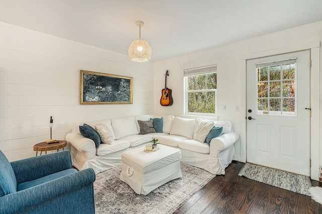 living room featuring dark wood-type flooring