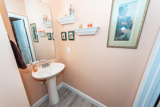 bathroom featuring hardwood / wood-style flooring