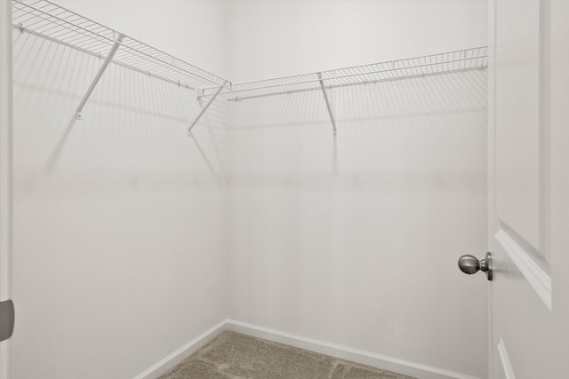 309 Sedona Dr, Summerville, SC 29486 - spacious closet with carpet floors