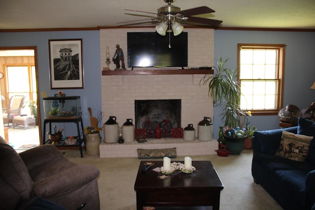 kitchen featuring sink, a textured ceiling, and ornamental molding