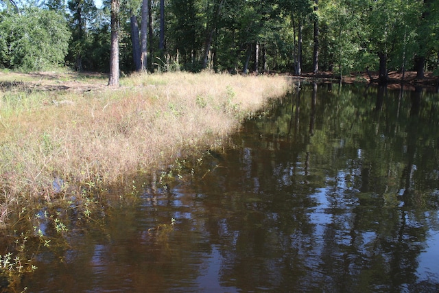 view of yard with a water view