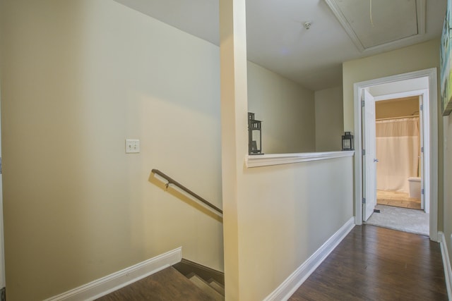 hallway featuring dark wood-type flooring