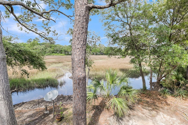 166 River Breeze Dr, Charleston, SC 29407 - water view