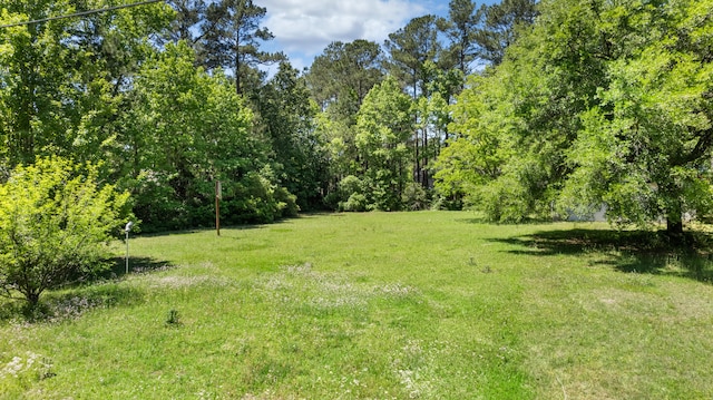 7-D Young Dr, Summerville SC, 29483 land for sale