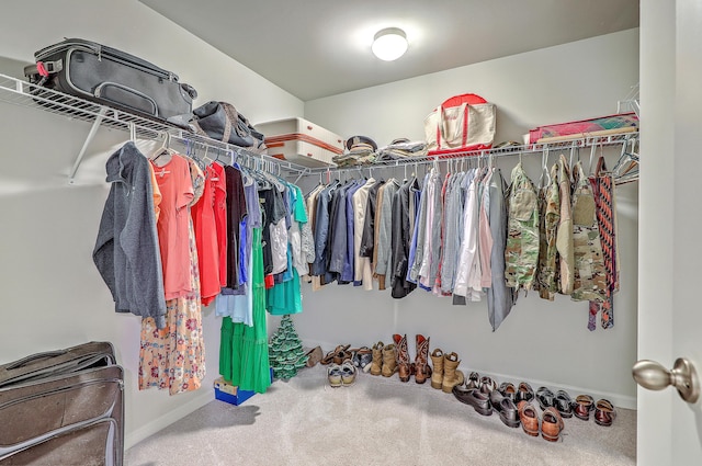 walk in closet featuring carpet flooring