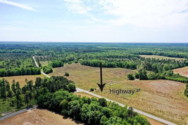 00 Old Gilliard Rd, Ridgeville SC, 29472 land for sale