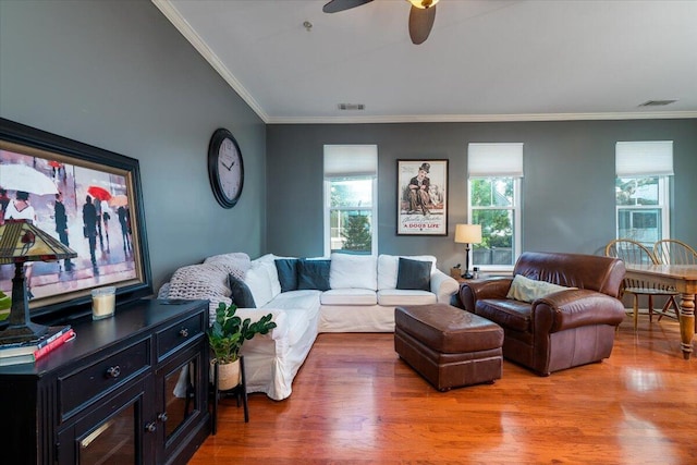 living room with crown molding, hardwood / wood-style floors, and ceiling fan