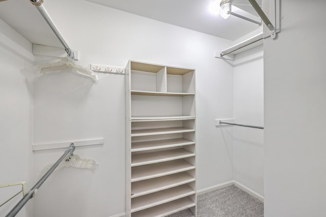 103 Laurens Ct, Summerville, SC 29485 - walk in closet featuring carpet