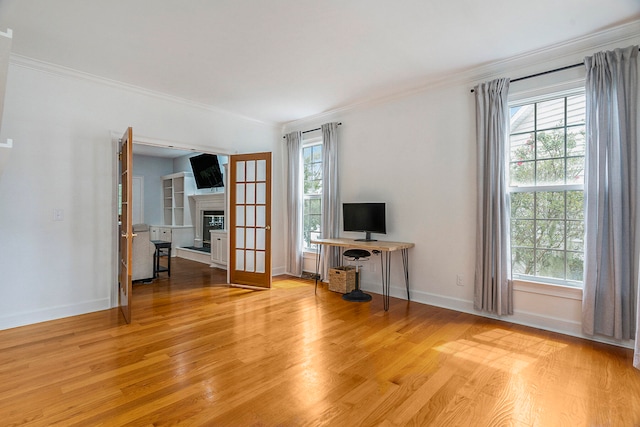 interior space featuring light wood-type flooring, crown molding, and a wealth of natural light