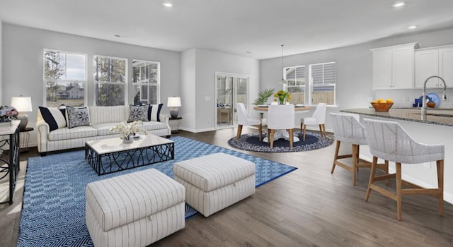 living room featuring plenty of natural light, sink, and dark wood-type flooring