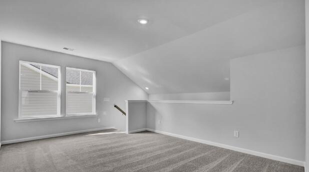 additional living space featuring carpet flooring and vaulted ceiling