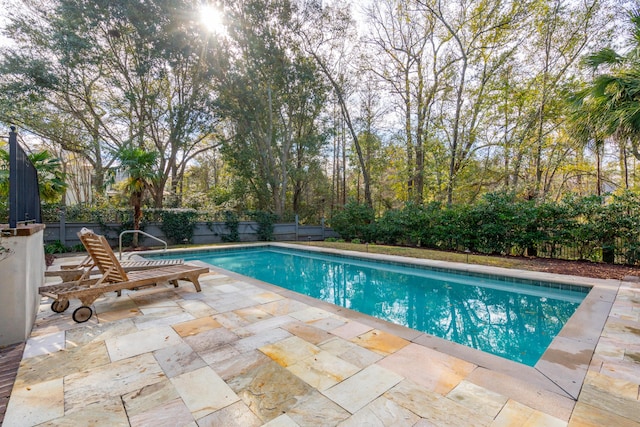 view of pool with a patio area