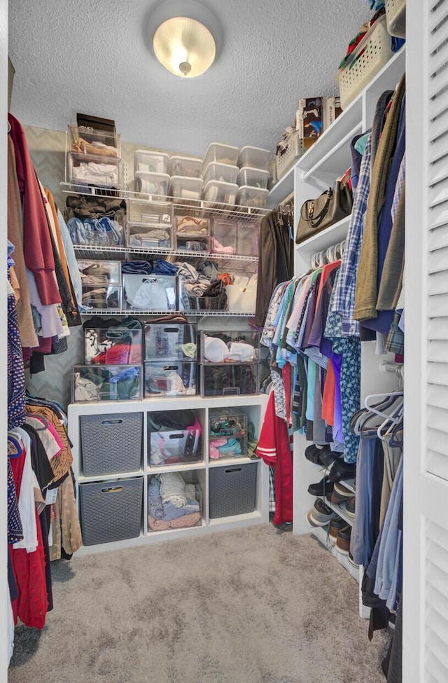 walk in closet featuring carpet floors