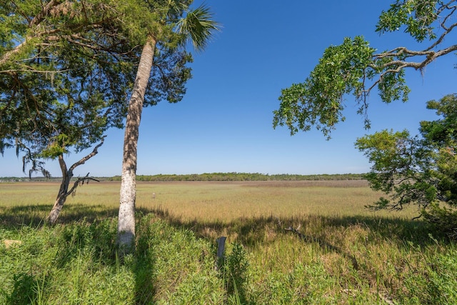 123 Jungle Rd, Edisto Island, SC 29438 - view of local wilderness featuring rural landscape